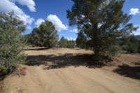 Road to Sierra Chaparral